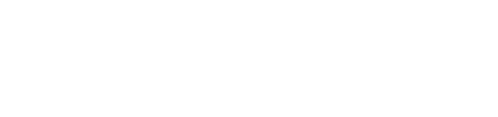 Loots Basson Consultancy Logo